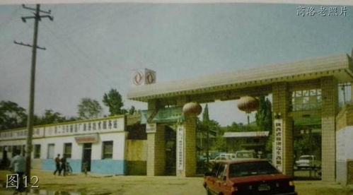 商洛老照片 中心廣場(chǎng),蓮湖公園,丹鳳葡萄酒,烈士陵園,704廠