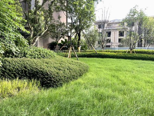 恒大精品園林獲業主好評