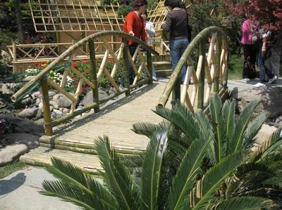 綠化工程_綠化工程供貨商_供應(yīng)綠化工程領(lǐng)先企業(yè)-上海綠化工程首選哪家公司_綠化工程價(jià)格_上?？弟皥@林(晨蘇實(shí)業(yè))