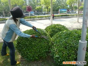 新余園林綠化企業 園林實業的綠色發展之路