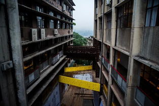 春節(jié)假期重慶三日游攻略 探索山城風情與園林實業(yè)魅力