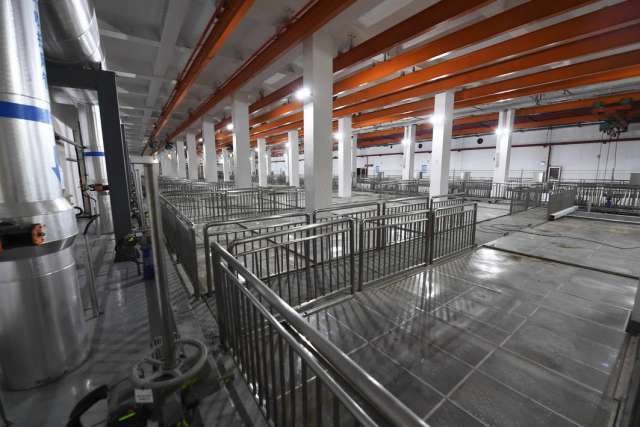 綠茵之下，匠心筑夢(mèng) 一座公園的園林實(shí)業(yè)密碼